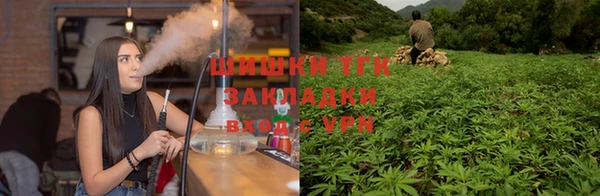 МДПВ Касимов